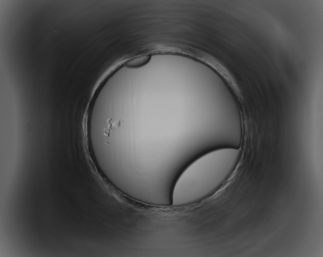 X0000098101198200804040740