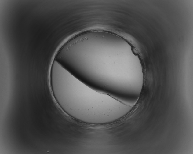 X0000098101199200804040740