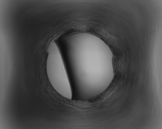 X0000098101201200804040739