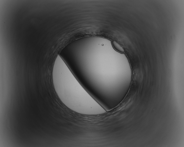 X0000098101202200804040739