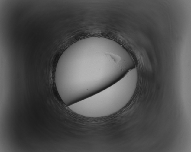 X0000098101203200804040739