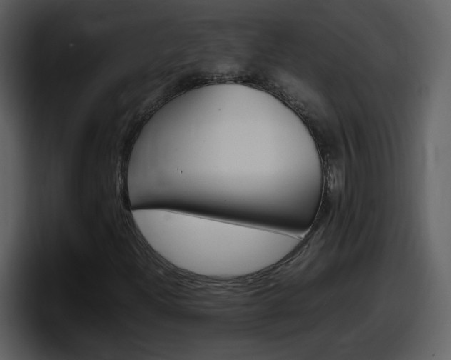 X0000098101204200804040739