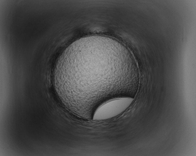 X0000098101205200804040739
