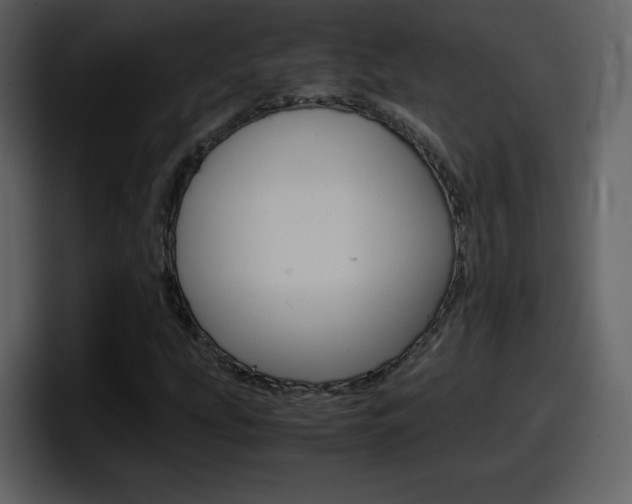 X0000098101207200804040739