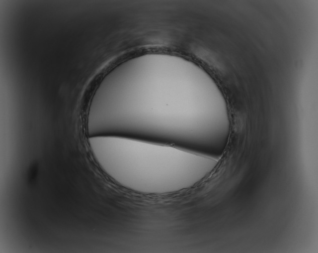 X0000098101208200804040739