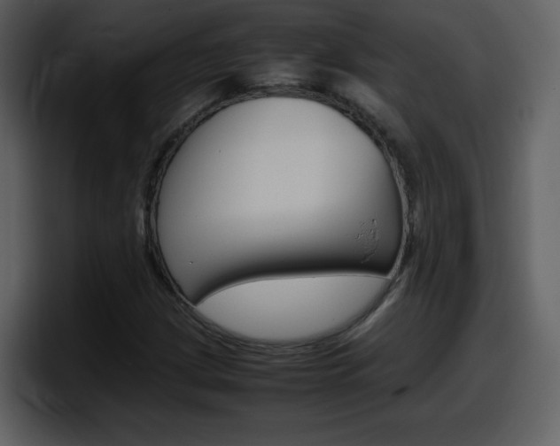 X0000098101209200804040739