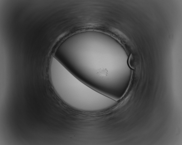 X0000098101210200804040739