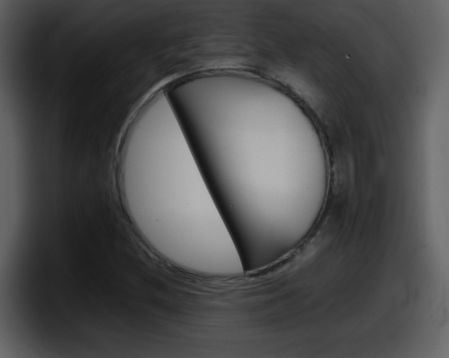 X0000098101212200804040739