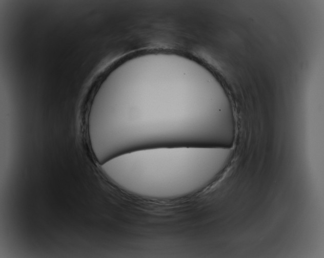 X0000098101215200804040739