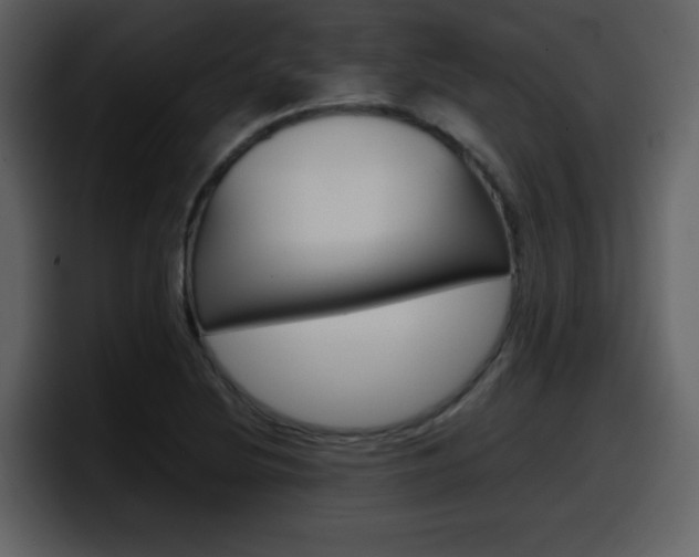 X0000098101220200804040740
