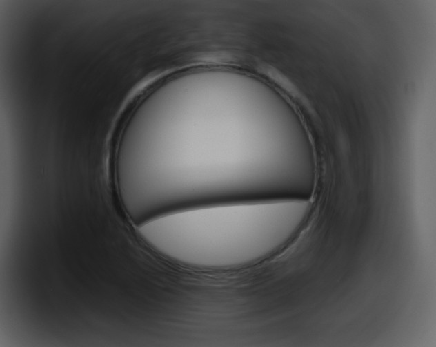 X0000098101222200804040740