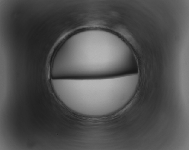 X0000098101224200804040740