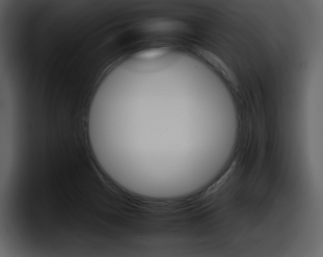 X0000098101225200804040740