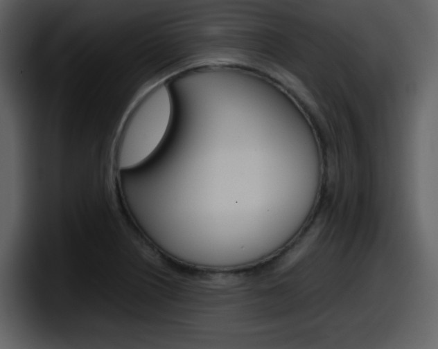 X0000098101226200804040740