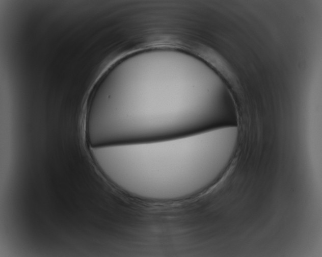 X0000098101228200804040740