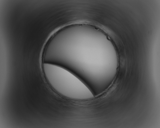 X0000098101230200804040740