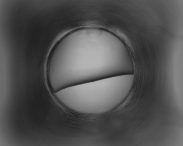 X0000098101231200804040740