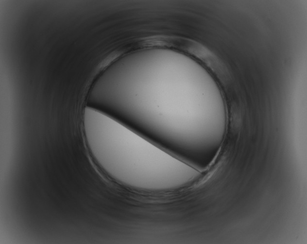 X0000098101233200804040740