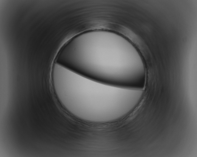 X0000098101234200804040740