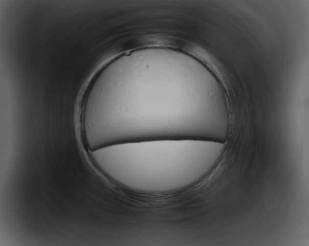 X0000098101235200804040740