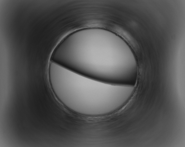 X0000098101236200804040740
