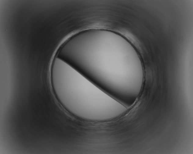 X0000098101238200804040740