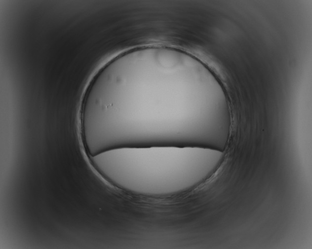 X0000098101239200804040740