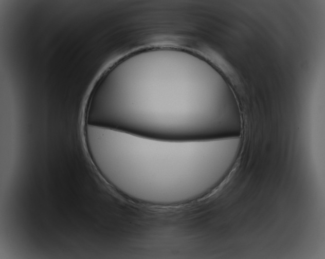 X0000098101240200804040740