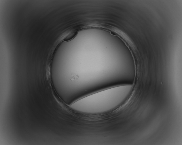 X0000098101241200804040740