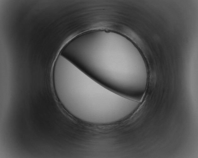 X0000098101242200804040740