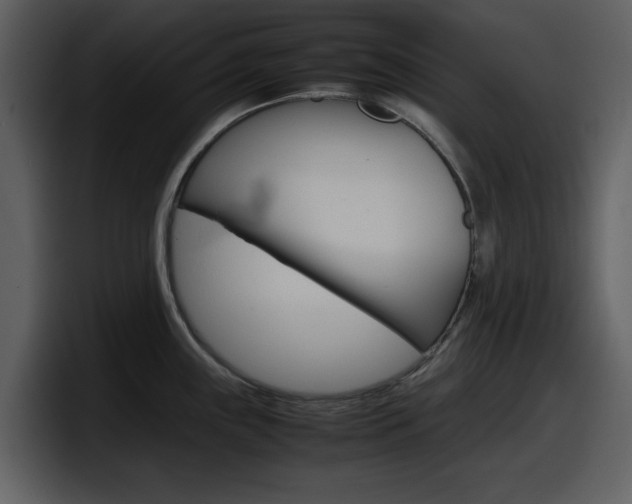 X0000098101243200804040740
