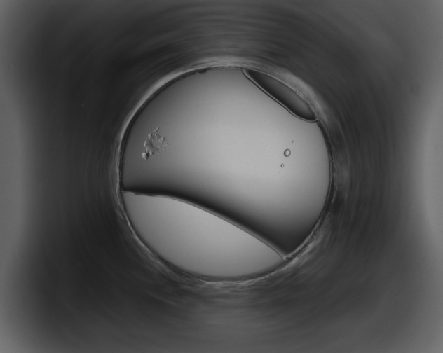 X0000098101244200804040740