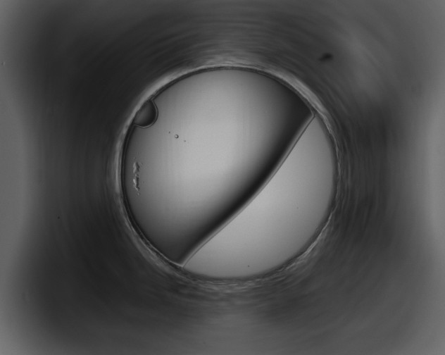 X0000098101246200804040740