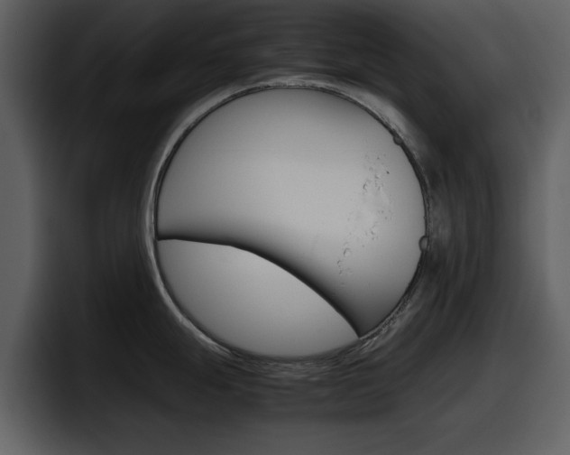 X0000098101247200804040740
