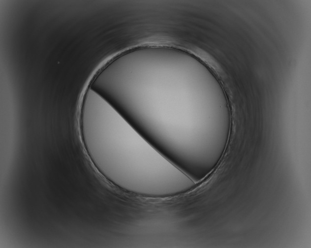 X0000098101248200804040740