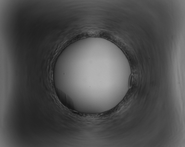 X0000098101249200804040739
