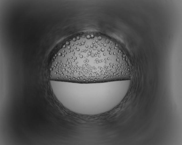 X0000098101255200804040739