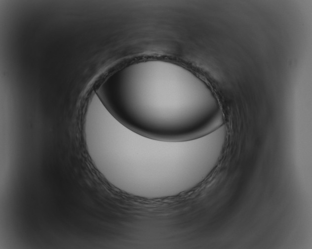 X0000098101256200804040739