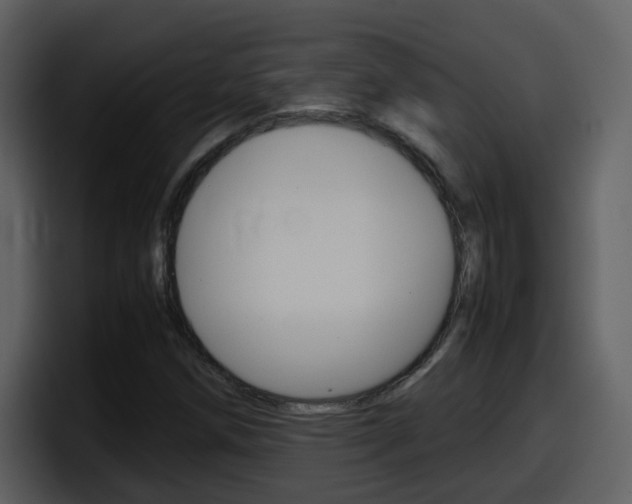 X0000098101258200804040739