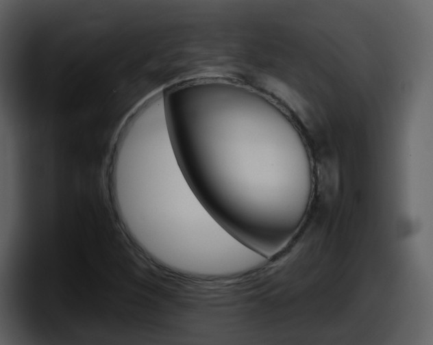 X0000098101260200804040739