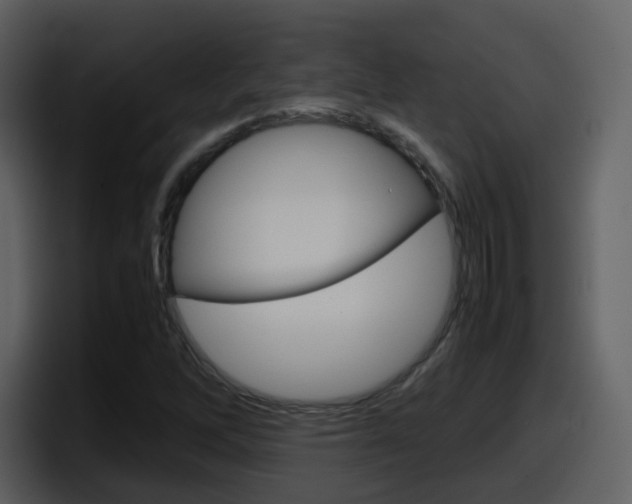 X0000098101262200804040739