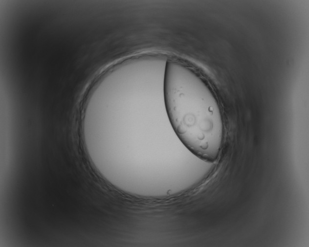 X0000098101263200804040739