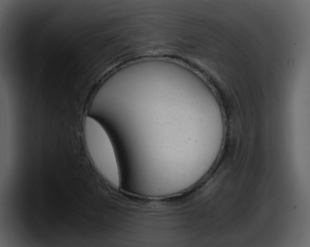X0000098101265200804040739