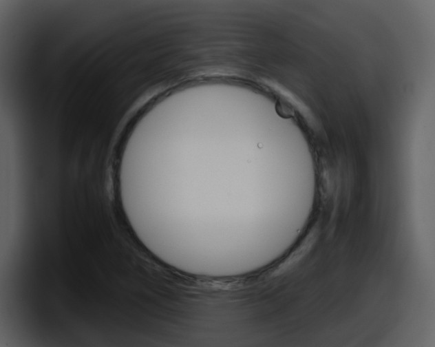 X0000098101266200804040739