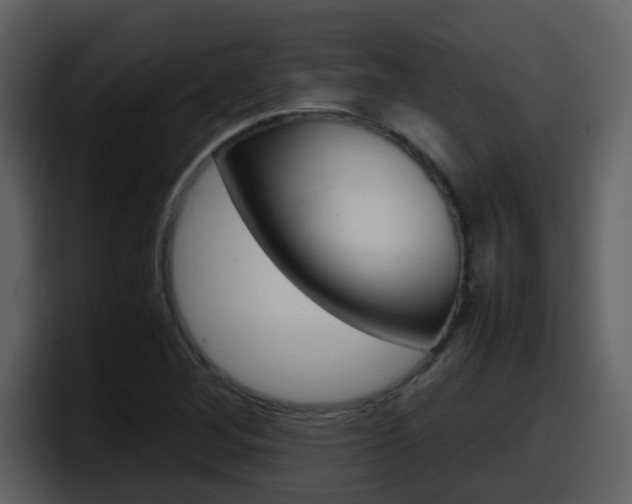 X0000098101268200804040739