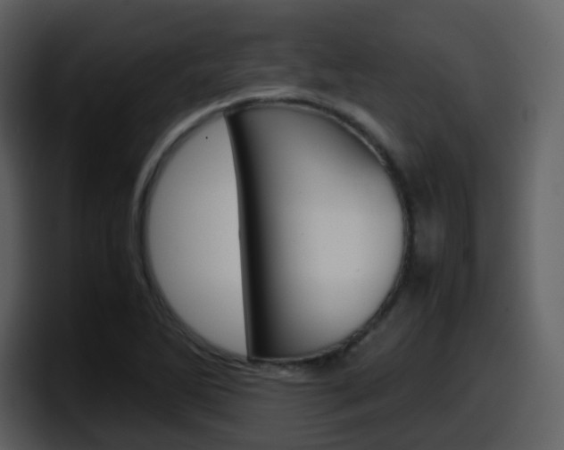 X0000098101270200804040739