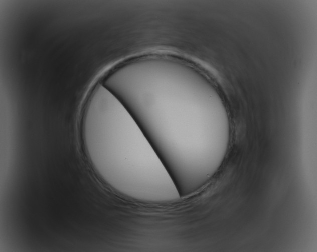 X0000098101271200804040739
