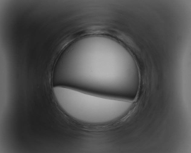 X0000098101273200804040739