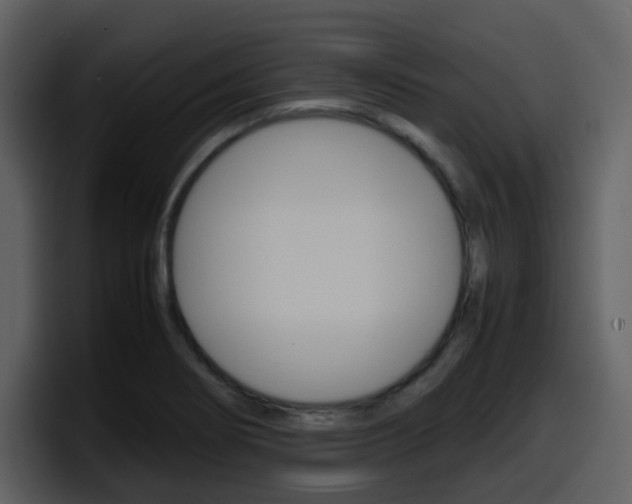 X0000098101274200804040739