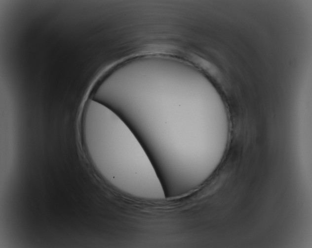 X0000098101275200804040739